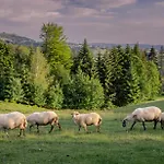 Olza Karczma I