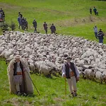 Olza Karczma I Istebna