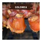 Olza Karczma I Hotel