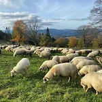 Olza Karczma I Hotel *