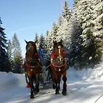 Olza Karczma I Istebna