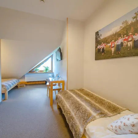 Hotel Olza Karczma I *