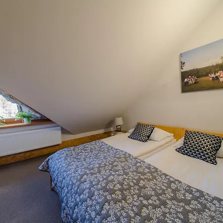 Hotel Olza Karczma I