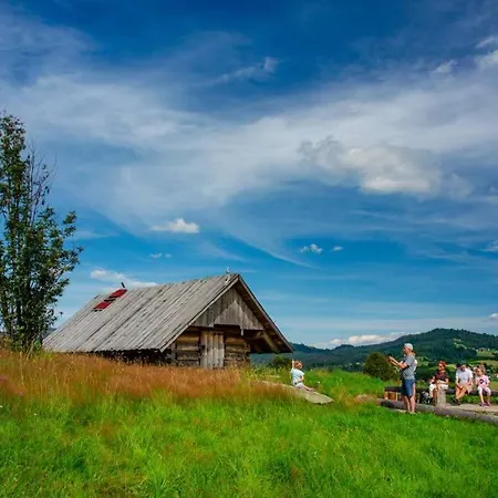 Olza Karczma I Отель *