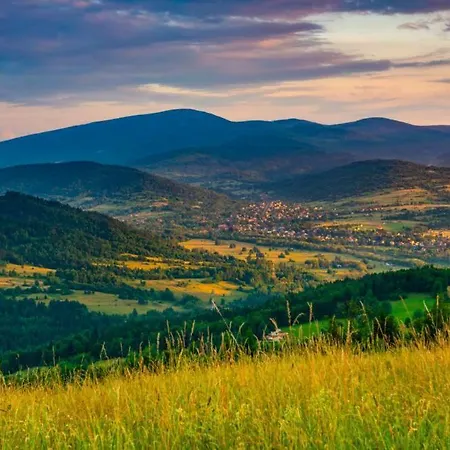 Olza Karczma I Отель