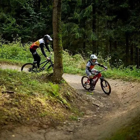 Olza Karczma I Hotel *