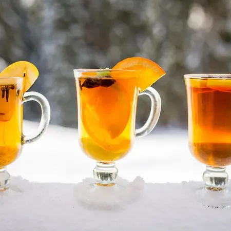 Olza Karczma I Hotel