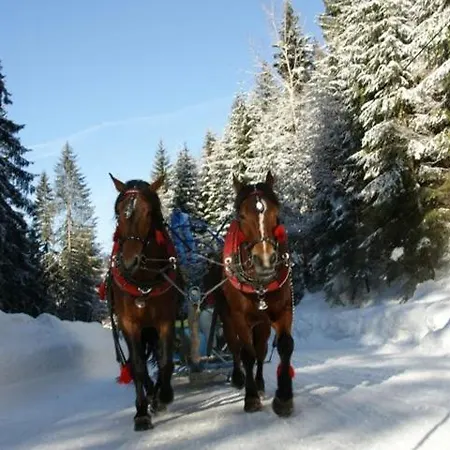 Olza Karczma I Istebna