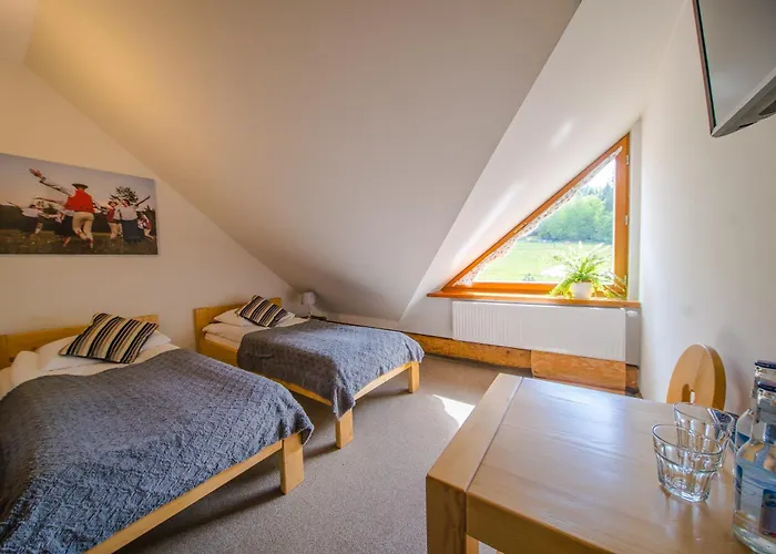 Hotel Olza Karczma I *