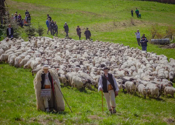 Olza Karczma I Istebna