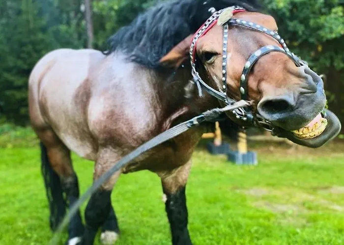 Hotel Olza Karczma I