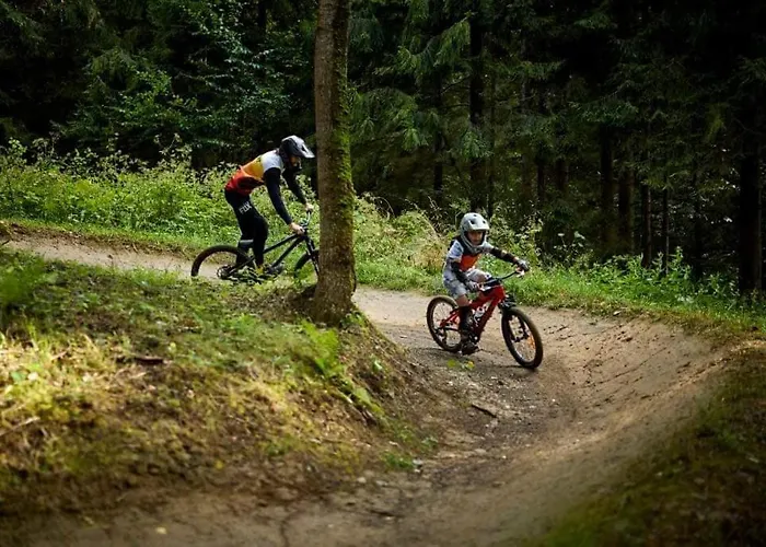 Olza Karczma I Otel *