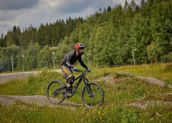 Otel Olza Karczma I *