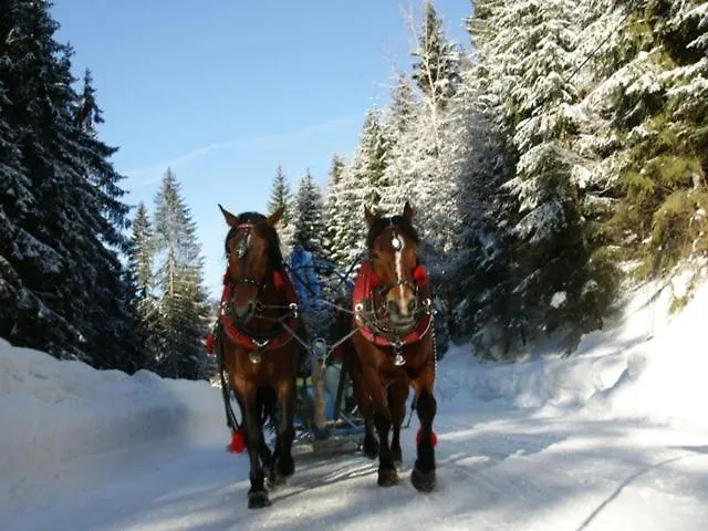 Olza Karczma I Istebna
